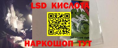 ПСИЛОЦИБИНОВЫЕ ГРИБЫ Кандалакша