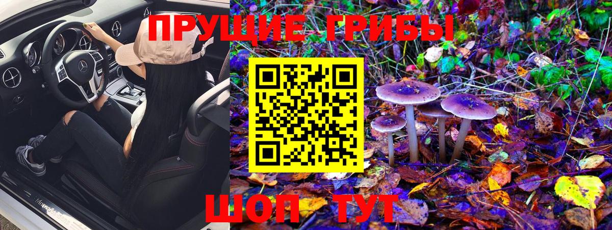 Псилоцибиновые грибы Magic Shrooms  Галлюциногенные грибы Cubensis  Вход с VPN  Кушва 